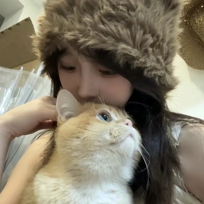 猫咪心动奇迹